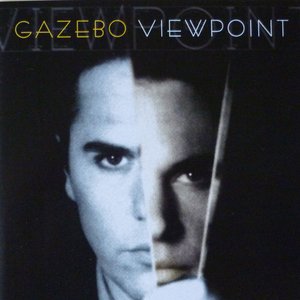 View Point