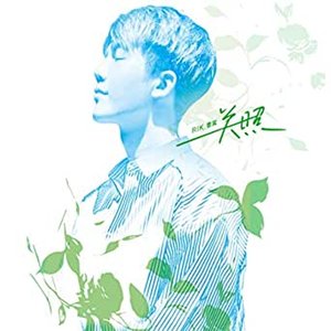 关照