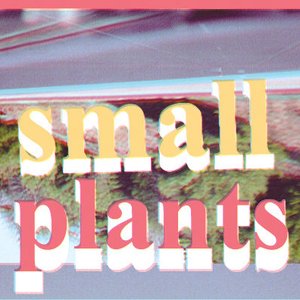 small plants