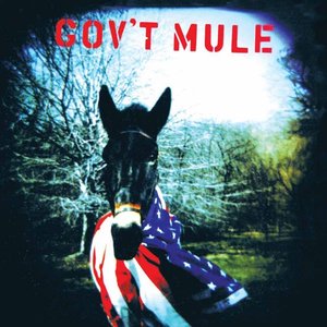 'Gov't Mule'の画像