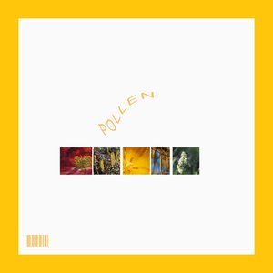 Pollen - Single