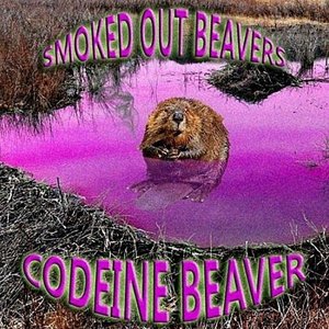 Image for 'Smoked Out Beavers'