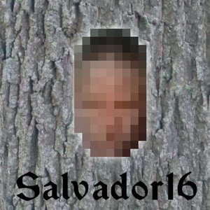 Salvador16 的头像
