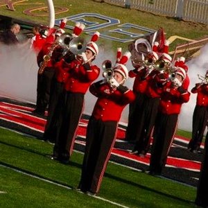 Lousiana Ragin' Cajuns 的头像