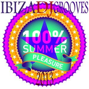 Ibiza DJ Grooves 2013 (100% Hot Summer House and Electro Clubbers)