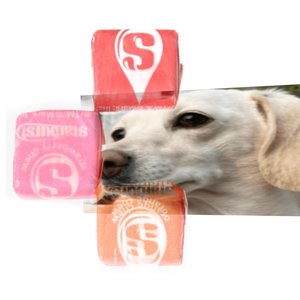 Mr. Skittles & The Starburst Trio