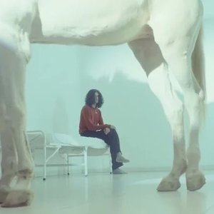 Avatar for Bliss Samsa