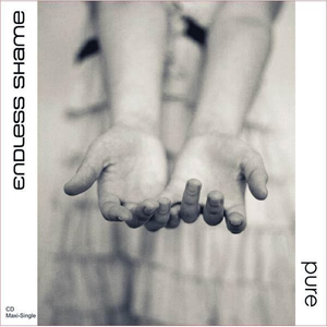Endless Shame - Pure - Zortam Music
