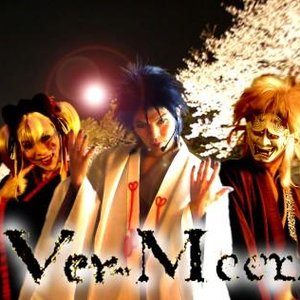 Image for 'Ver-Meer'