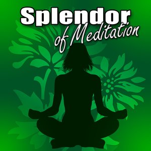 Splendor of Meditation