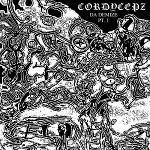 Cordycepz 的头像