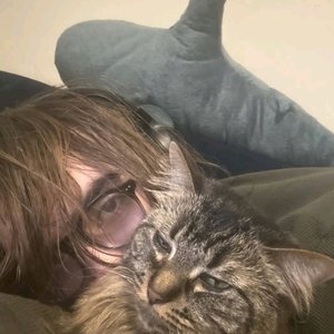 Avatar for The 365 Project