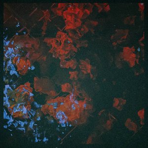 Koda - Faking - Zortam Music