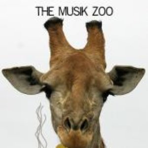 Avatar di The Musik Zoo