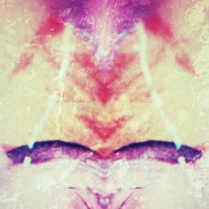 crawlspace habituate