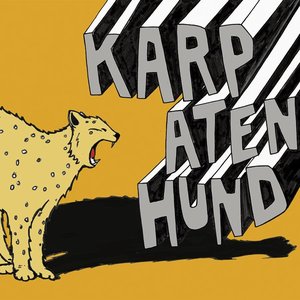 Karpatenhund #3