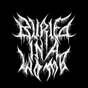 Avatar di Buried in a Womb