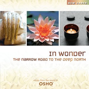 “In Wonder: The Narrow Road to the Deep North”的封面