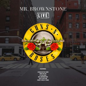 Mr. Brownstone