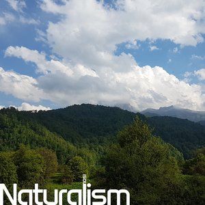 Naturalism
