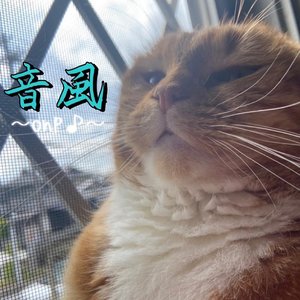 ONPU