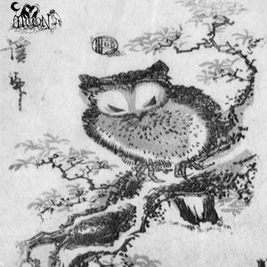 As The Owl Watches