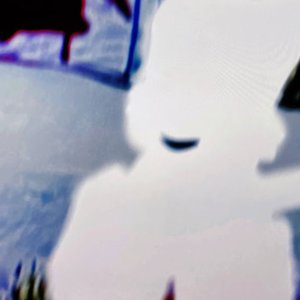 Nonhumans