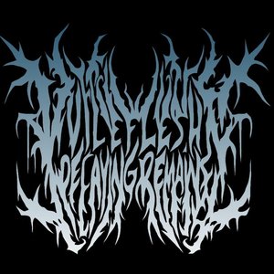 Vile Flesh Decaying Remains 的头像