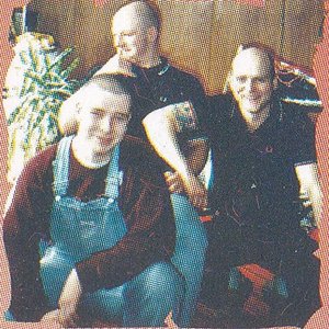 Sturmtruppen Skinheads 的头像