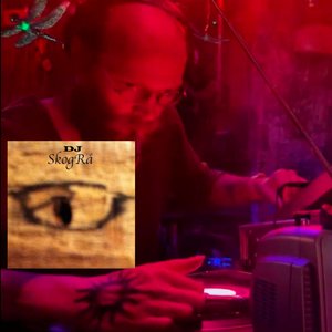 DJ SkogRå Mixes & Songs 的头像
