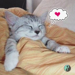 COMFORTABLE