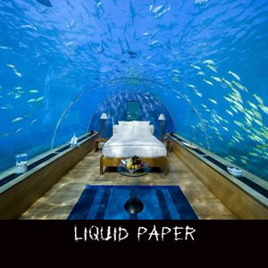 liquid paper experience 的头像