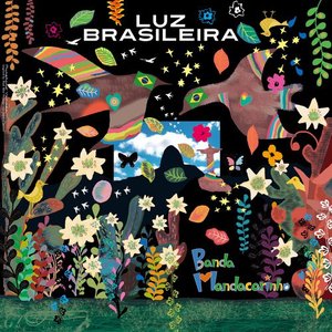 Luz Brasileira / ブラジルの光