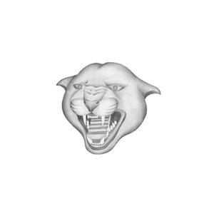 Wildcats