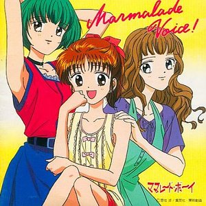 ママレード・ボーイ Vol.3 ママレード・ヴォイス!