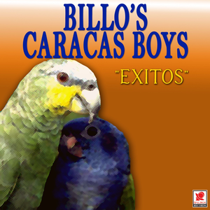 Artwork for Boquita sala