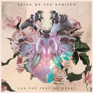 Image for 'Can You Feel My Heart'