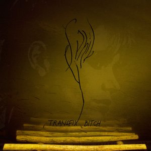 Transfix Bitch