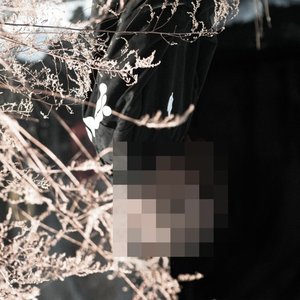 Die Tomorrow - Single
