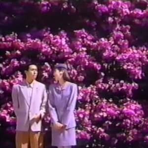 twilight years