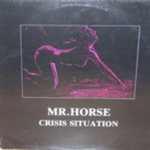 Mr. Horse 的头像