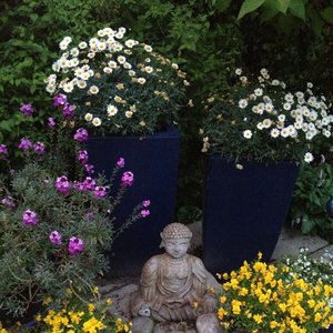 Meditative Music Guru 的头像