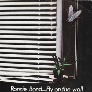 Fly On The Wall