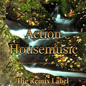 Action Housemusic (Autumn Deeptech Meets Tribal Proghouse Music Tunes in Key-a)