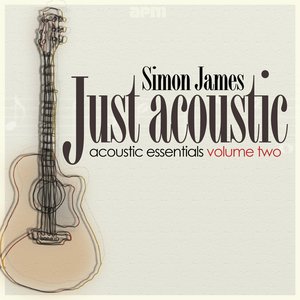 Just Acoustic - Acoustic Essentials Vol 2