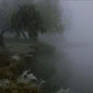 a rainy day in 2012 的头像