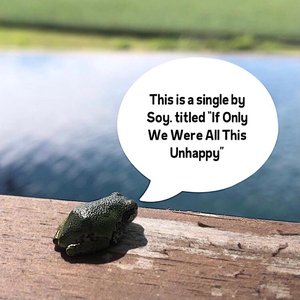 If Only We Were All This Unhappy - Single
