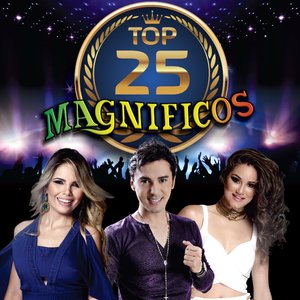 Bild för 'Top 25 - Ao Vivo E Inéditas'