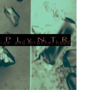 Splyntr 的头像