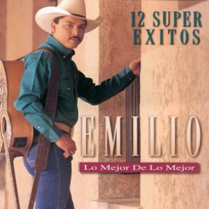 Los Mejor De Los Mejor-12 Super Exitos